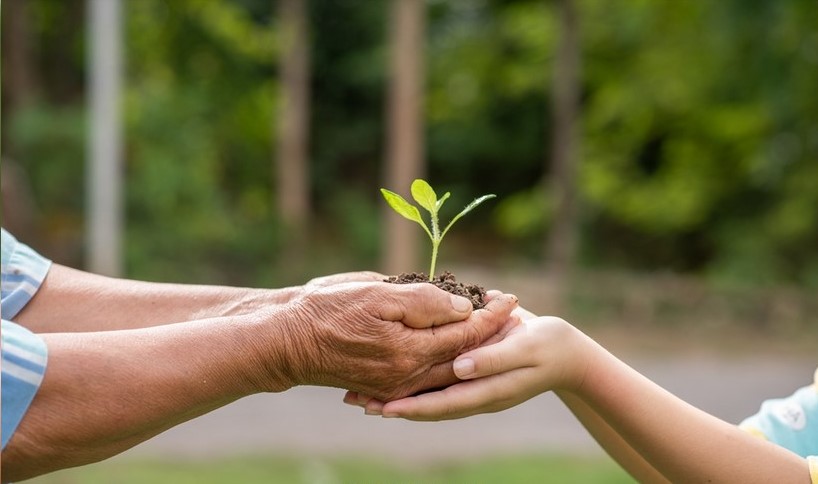 मदर टेरेसा चैरिटेबल फैमिली